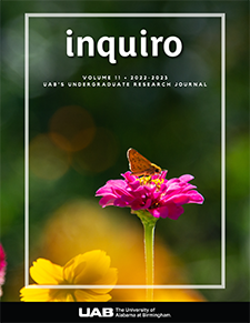 Inquiro 11 cover art