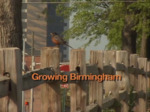 Growing Birmingham by Eric Franks and Kelly French