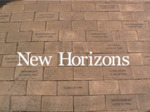 New Horizons by Rachel Gainer and Gregory Young