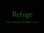 Refuge: The Alabama Wildlife Center by Dylan Angeline, Maria Bogomaz, and Jeremy Felix