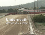 Underneath, We're All Grey by Rebecca Kennerly and Stephanie Harrison