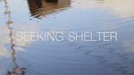 Seeking Shelter by Ashley DeSouza and Ericka DeSouza