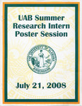 2008 UAB Summer Research Intern Poster Session