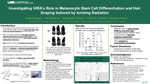 Investigating HIRA’s Role in Melanocyte Stem Cell Differentiation and Hair Graying Induced by Ionizing Radiation