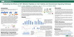 Evaluating the Effects of NF1 Mimetic Peptides on Cell Viability and Downstream Signaling Pathways