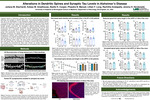 Alterations in Dendritic Spines and Synaptic Tau Levels in Alzheimer’s Disease by Juliana M. Eberhardt, Kelsy M. Greathouse, Noelle H. Cooper, Phaedra N. Manual, Lillian F. Long, Rachitha Avatapally, and Jeremy H. Herskowitz