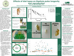 Effects of diet types on Daphnia pulex longevity and reproduction