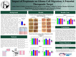 Impact of Propionate on Glioma Cell Migration: A Potential Therapeutic Target by Anna Claire E Potier, George B H Green, Alexis N. Cox-Holmes, Gillian H. Marlowe, and Braden McFarland