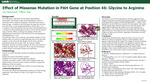 Effect of Missense Mutation in PAH Gene at Position 46: Glycine to Arginine