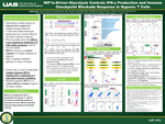 HIF1α-Driven Glycolysis Controls IFN-γ Production and Immune Checkpoint Blockade Response in Hypoxic T Cells