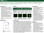 Effectiveness of Common Household Water Filters in Removal of Microplastics​