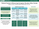 Patient Factors Influencing Caregiver Burden After Stroke