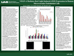 VEGF-A Mediates Red Light-Induced eNOS Expression in Human Microvascular Endothelial Cells