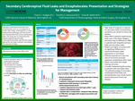 Secondary Cerebrospinal Fluid Leaks and Encephaloceles: Presentation and Strategies for Management