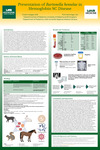 Changing Characteristics of Cryptococcal Infections and Outcomes: A Single-Center Retrospective Cohort