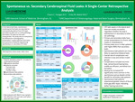 Spontaneous vs. Secondary Cerebrospinal Fluid Leaks: A Single-Center Retrospective Analysis by Charis C. Hodges and Erika M. Walsh