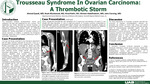 Trousseau Syndrome In Ovarian Carcinoma: A Thrombotic Storm by Ahmed Qaedi, Noah Blackwood, Hinal Rathi, Ahmed Abdelhaleem, and John Fanning