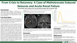 From Crisis to Recovery: A Case of Methotrexate Induced Seizures and Acute Renal Failure by Ahmed Qaedi, Charlotte Taus, Rosa Michel Ortega, and Ali Hachem