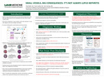 Small Vessels, Big Consequences: It’s Not Always Lupus Nephritis by Hinal Rathi, Carlo Castillo, and John Fanning